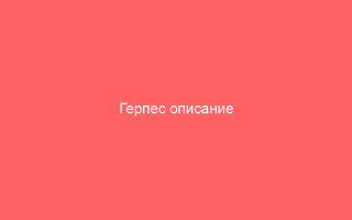 Герпес описание поражаемые органы и методы лечения