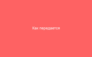 Как передается цитомегаловирус и как избежать заражения основные способы и меры предосторожности
